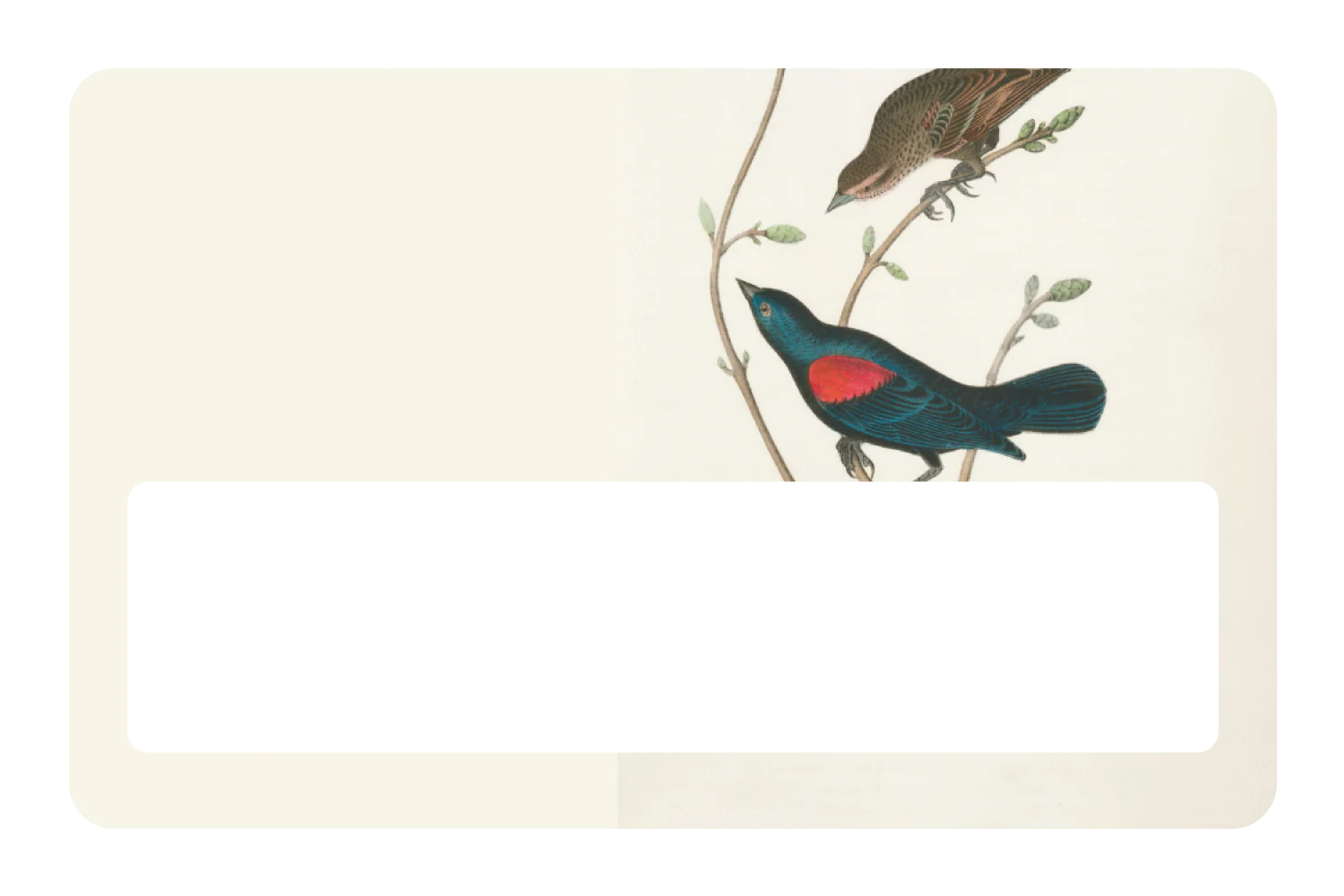 At The Tree Top - Image 6