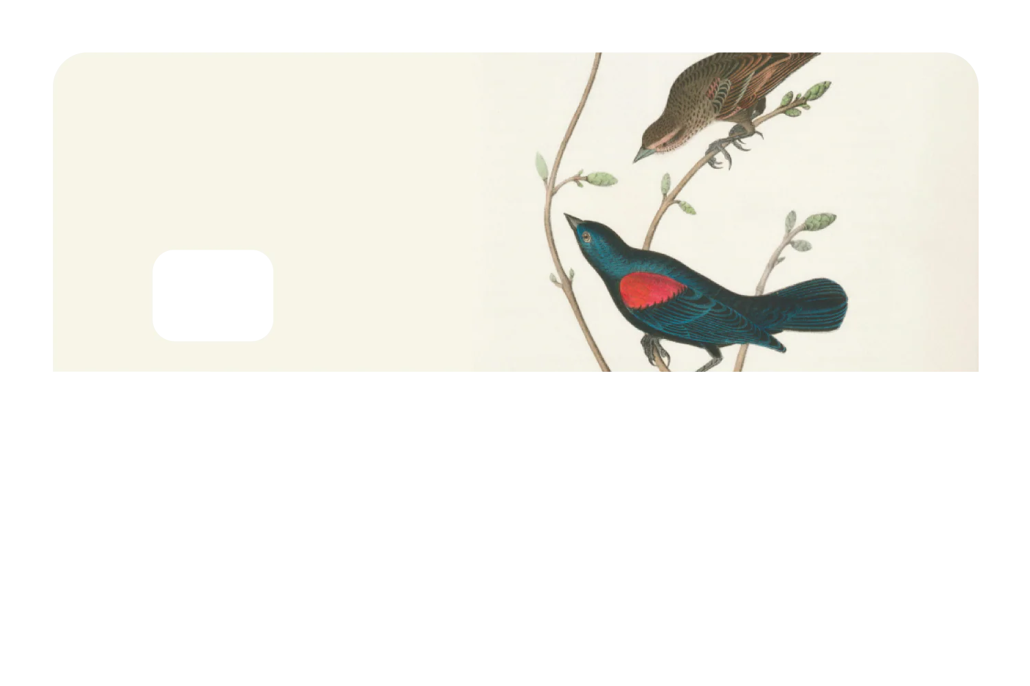 At The Tree Top - Image 8