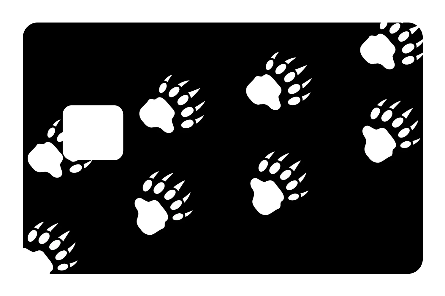 Bear Paws - Image 3