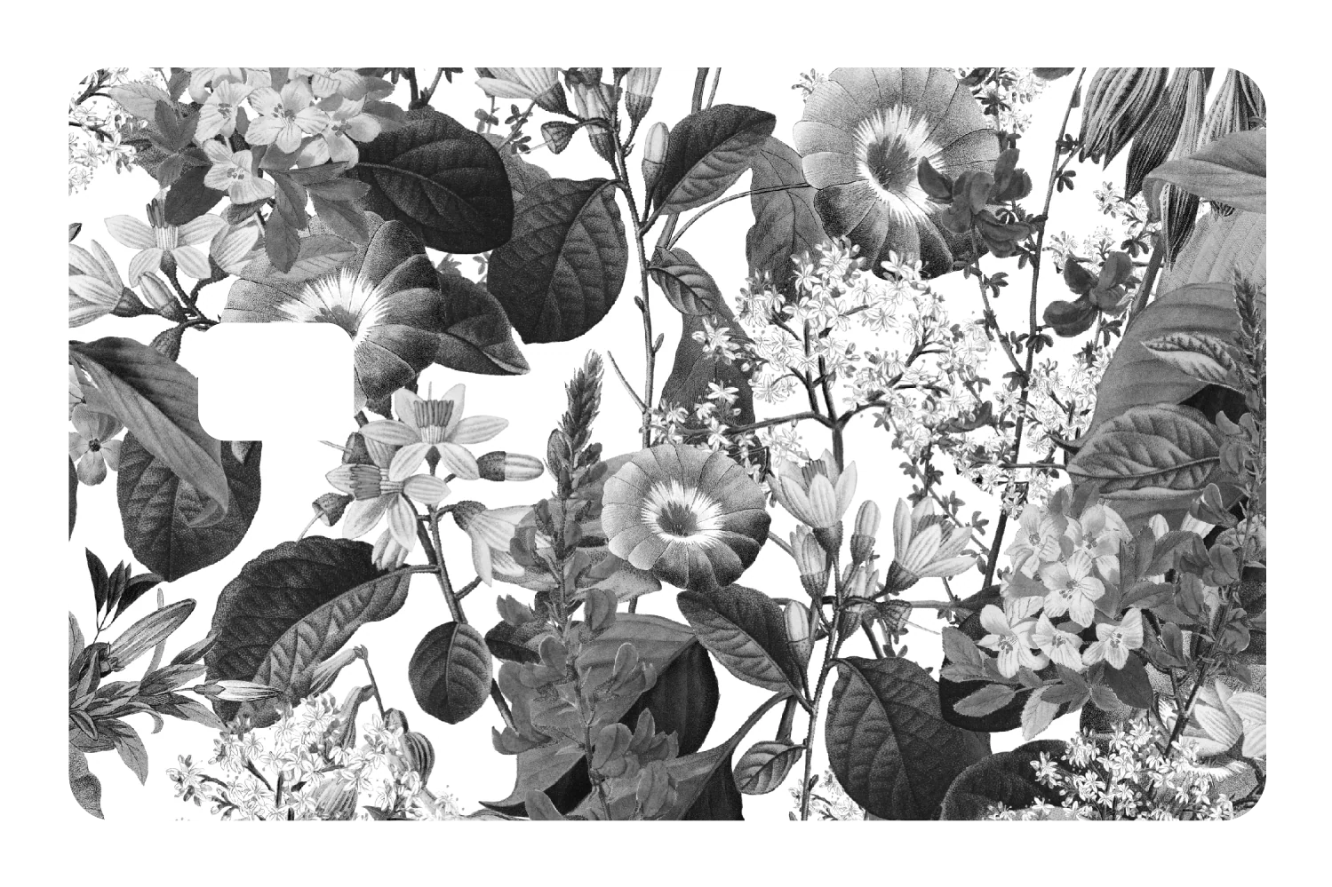 Black and White Floral - Image 2