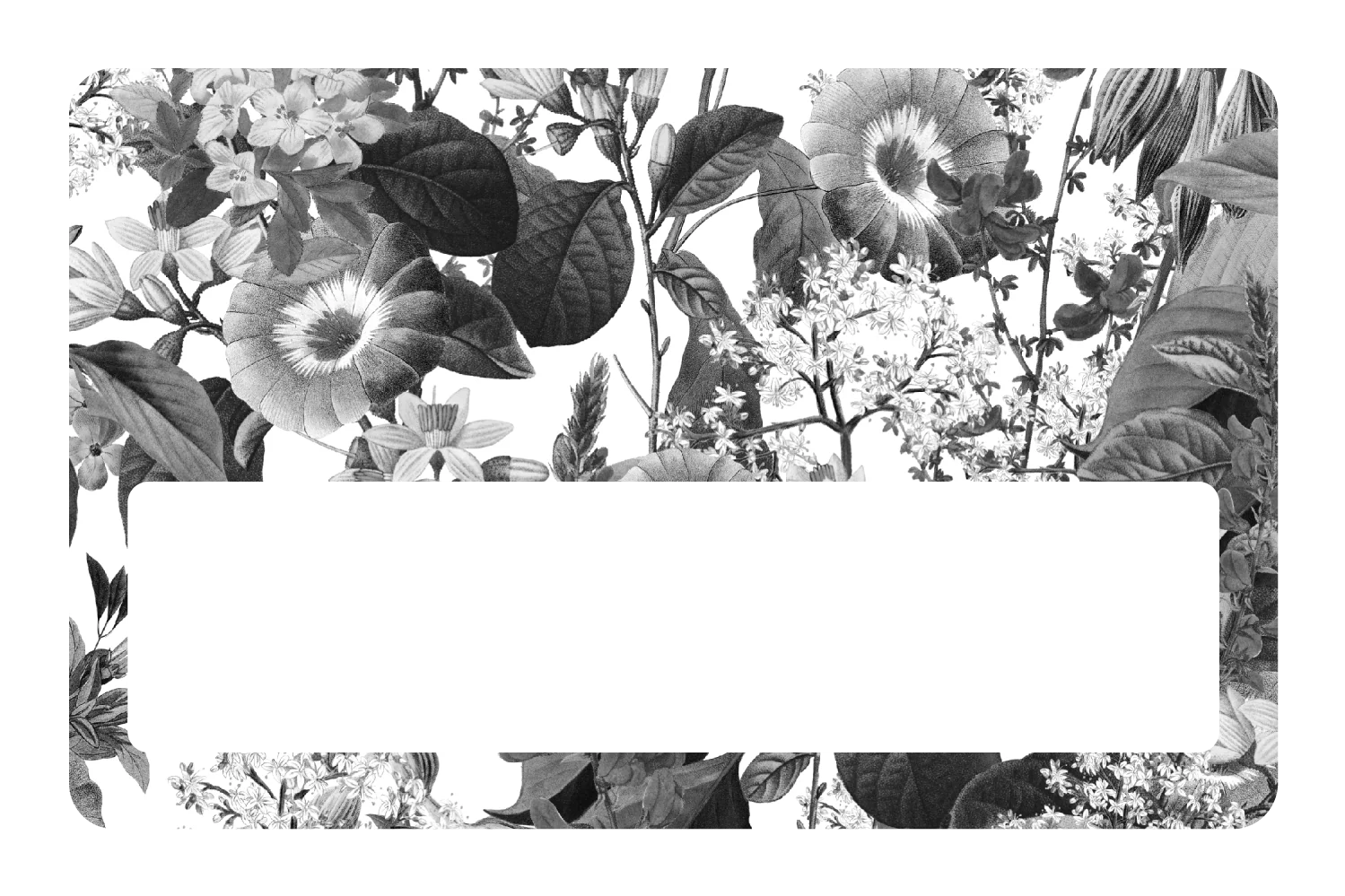 Black and White Floral - Image 6