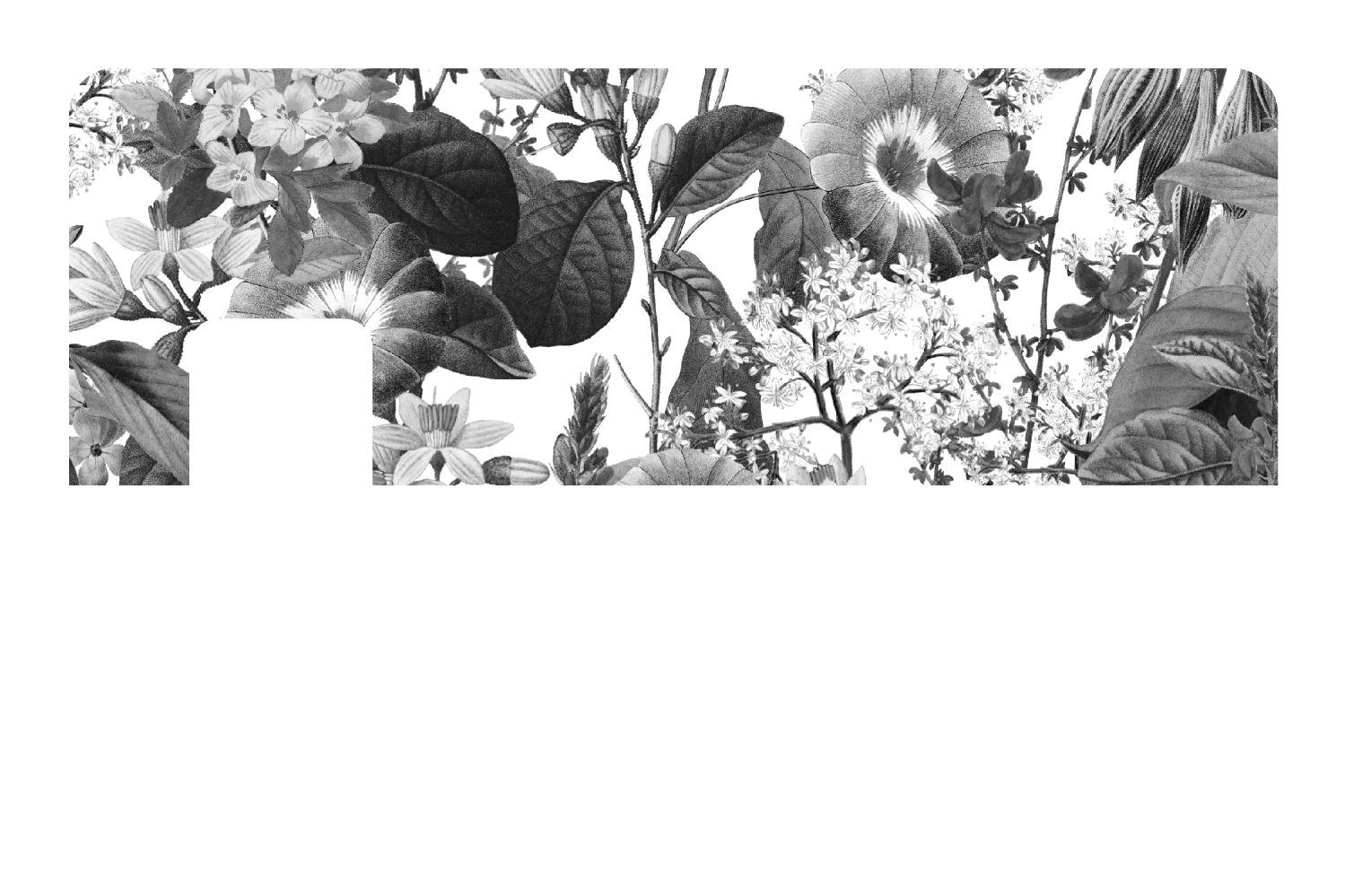 Black and White Floral - Image 7