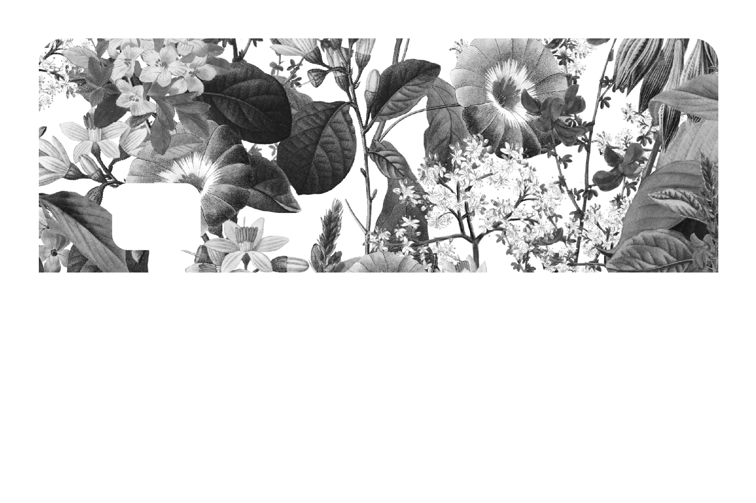Black and White Floral - Image 8