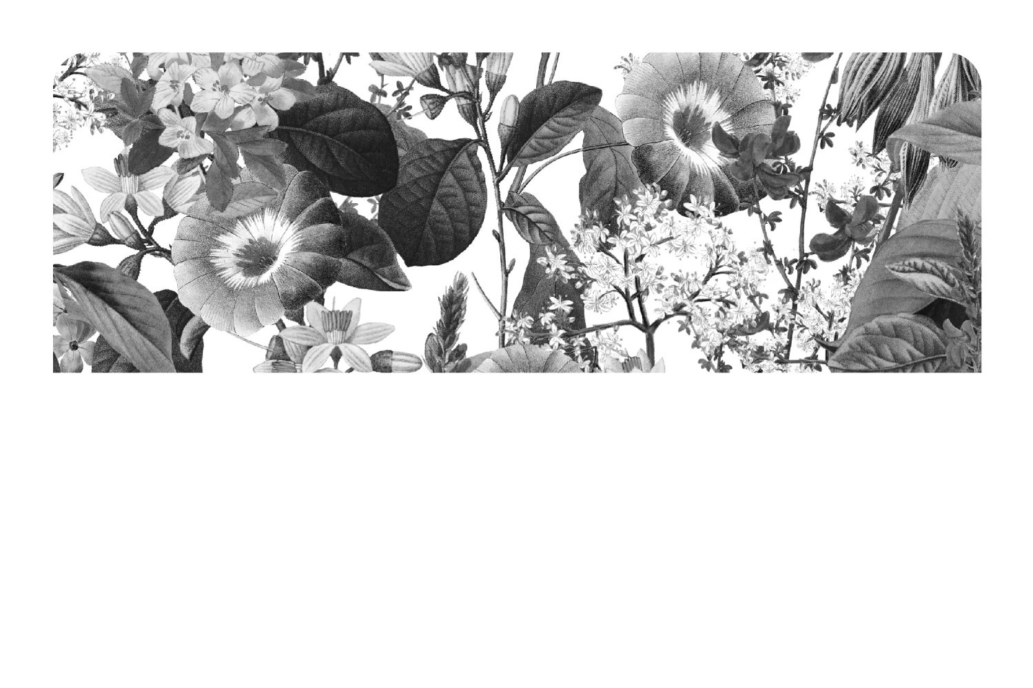 Black and White Floral - Image 9