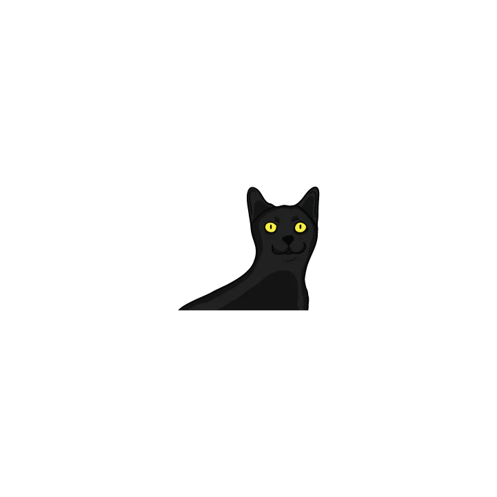 Black Cat - Image 2