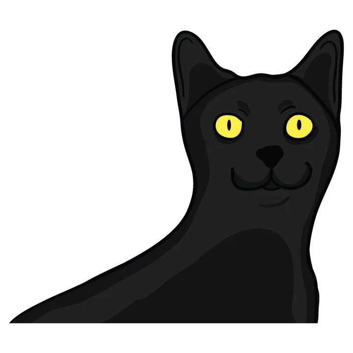 Black Cat - Image 3