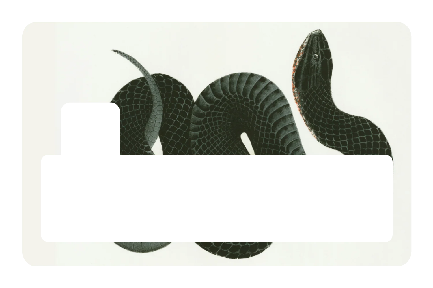 Black Racer - Image 4