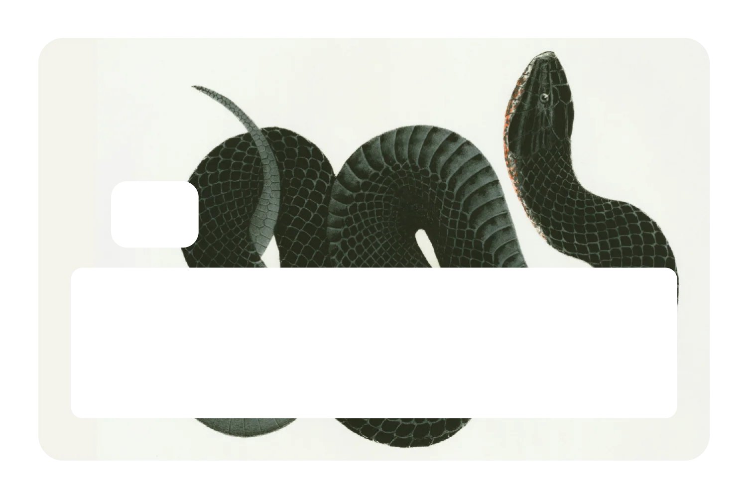 Black Racer - Image 5