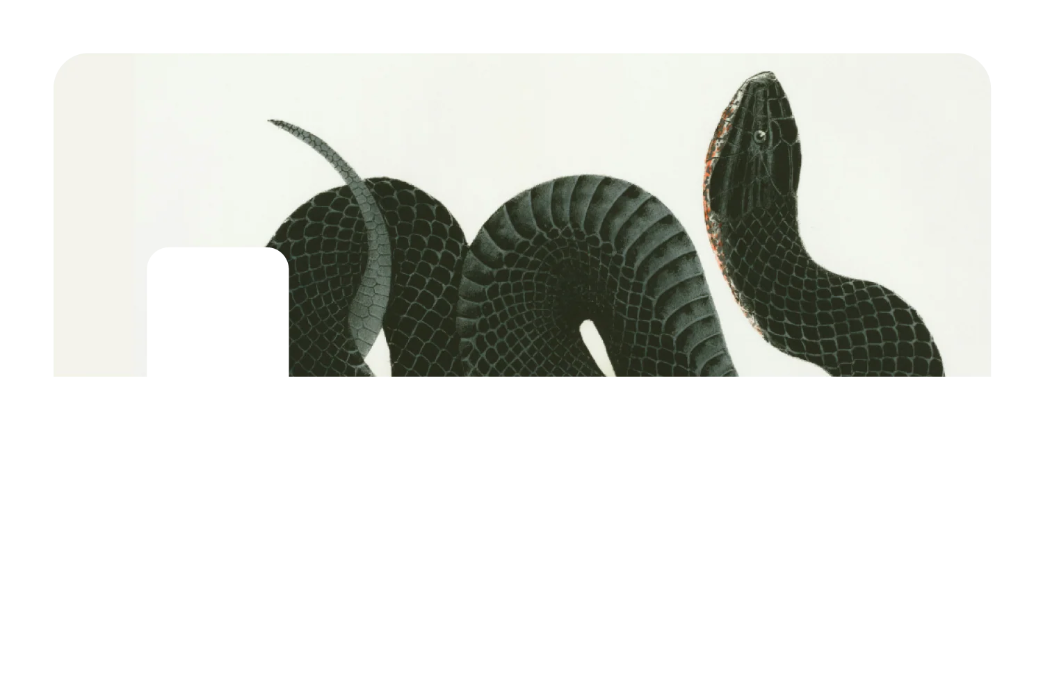 Black Racer - Image 7