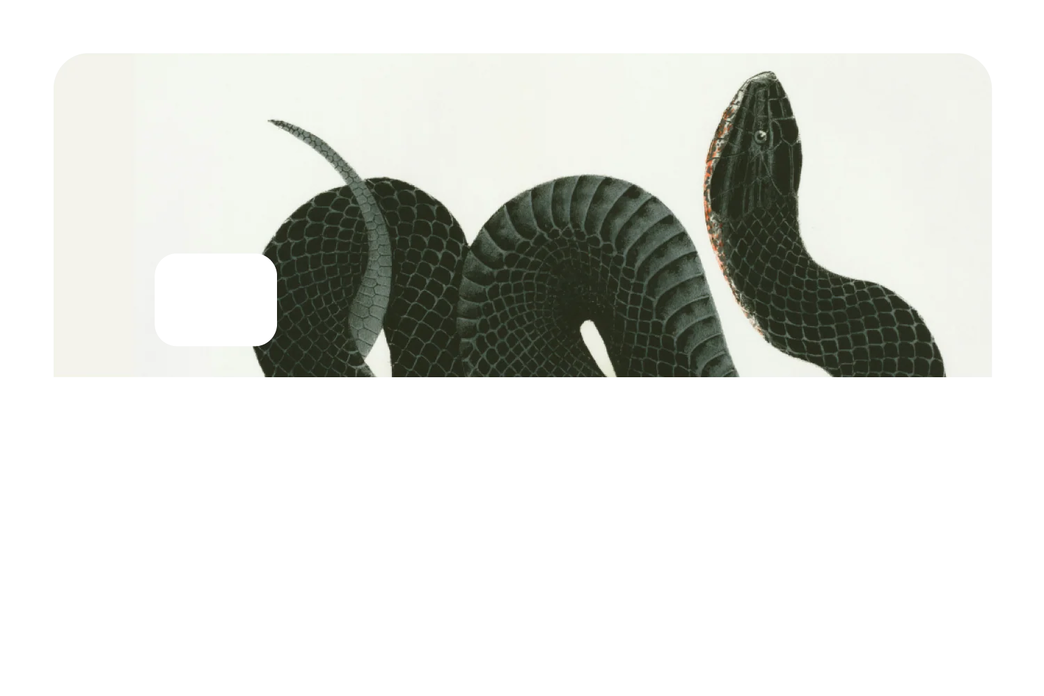 Black Racer - Image 8