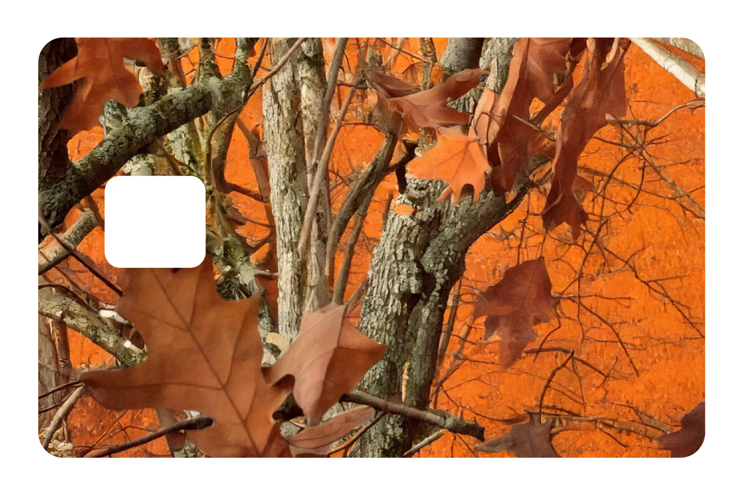 Blazeleaf - Image 3