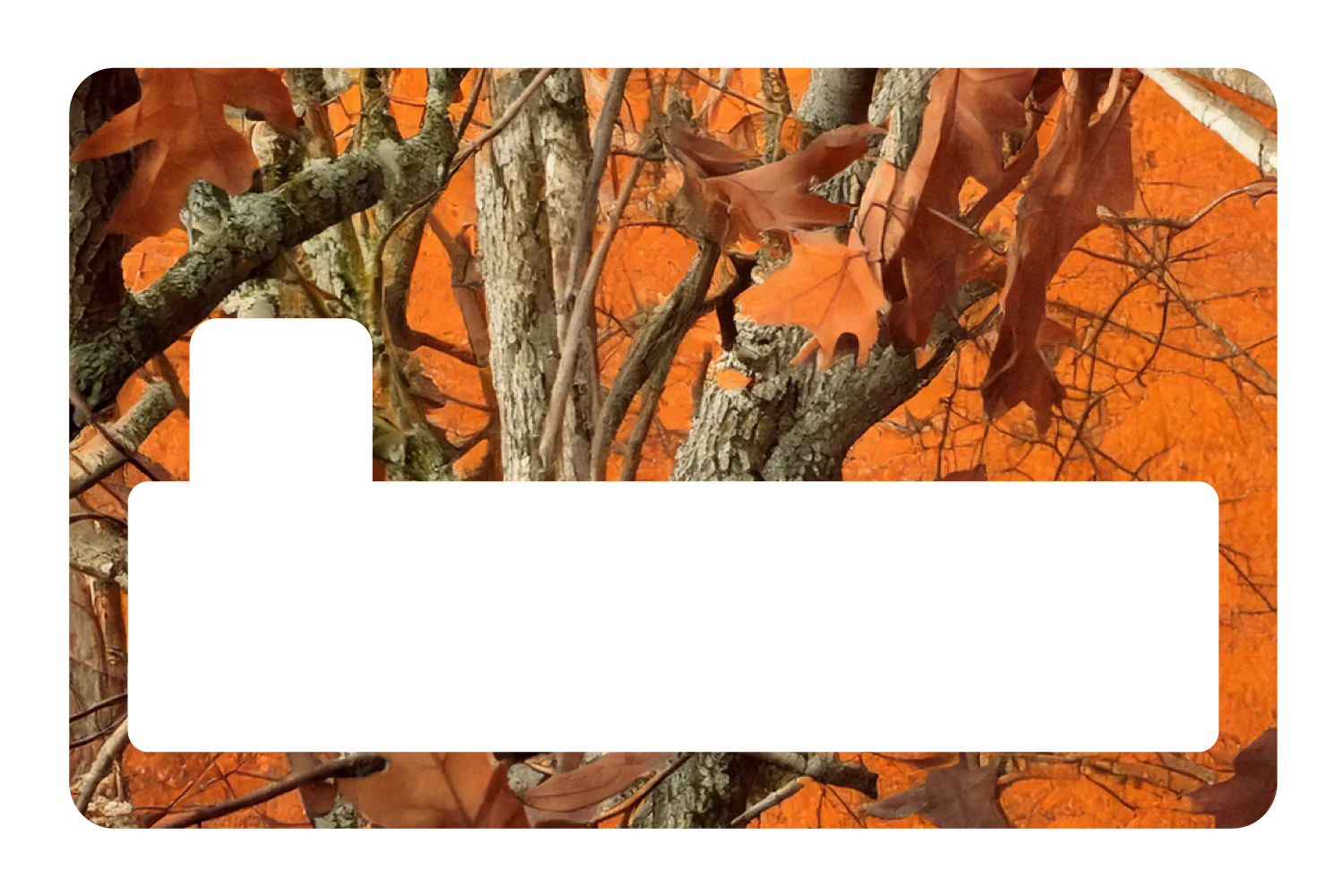 Blazeleaf - Image 4