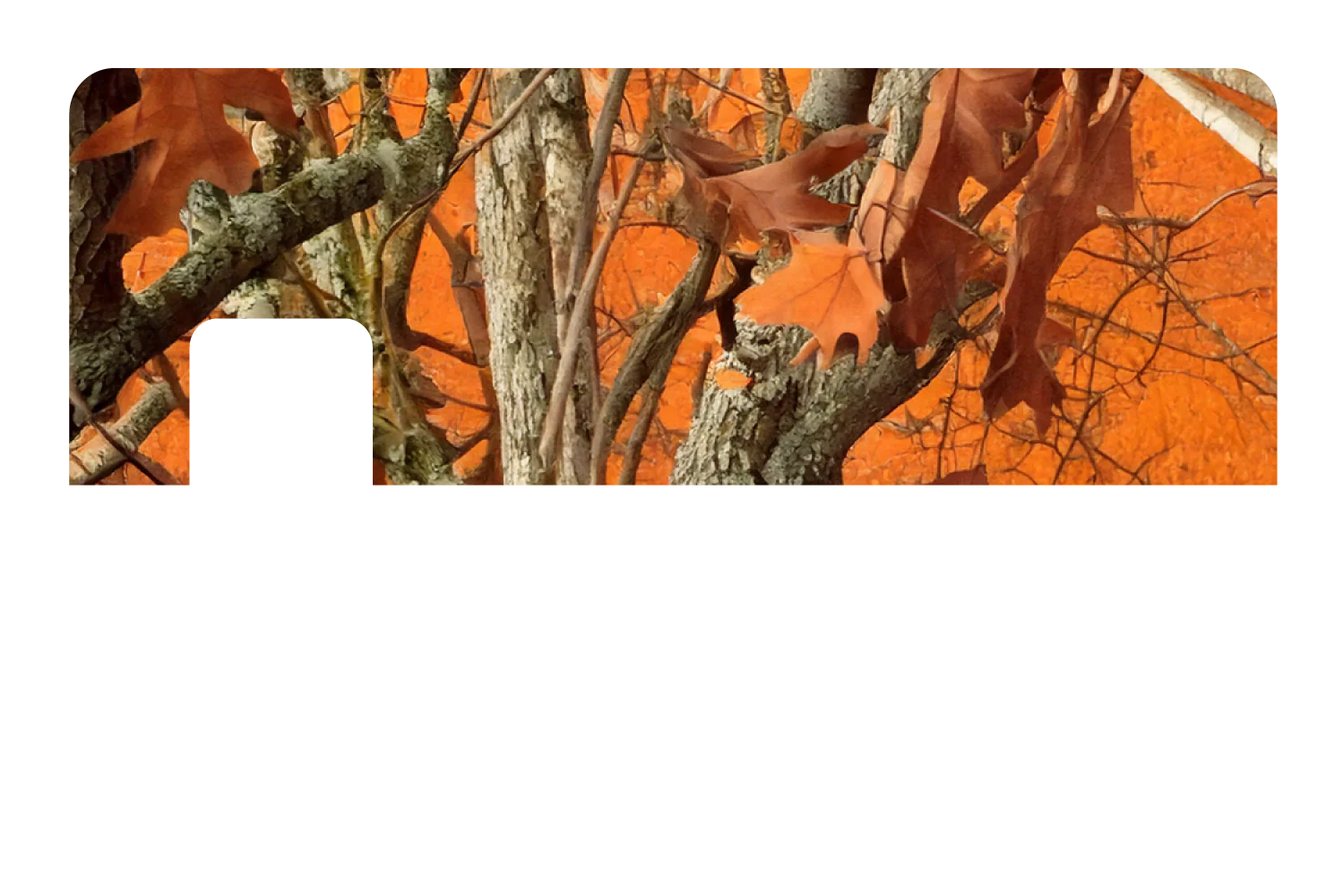 Blazeleaf - Image 7