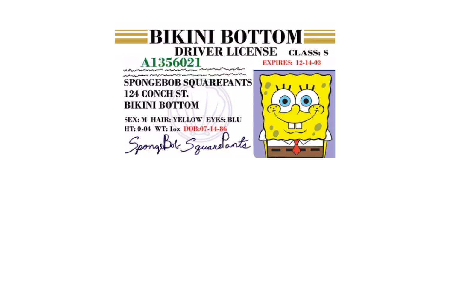 Bob License - Image 4