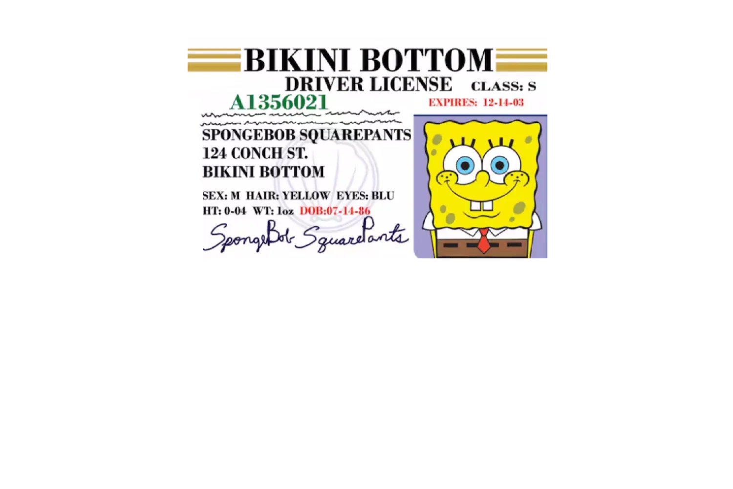 Bob License - Image 7