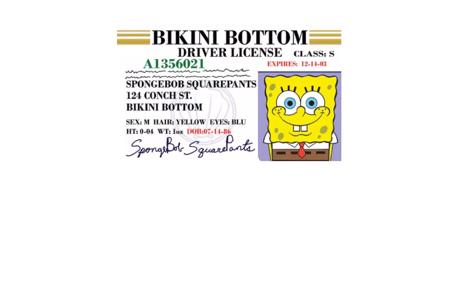 Bob License - Image 9