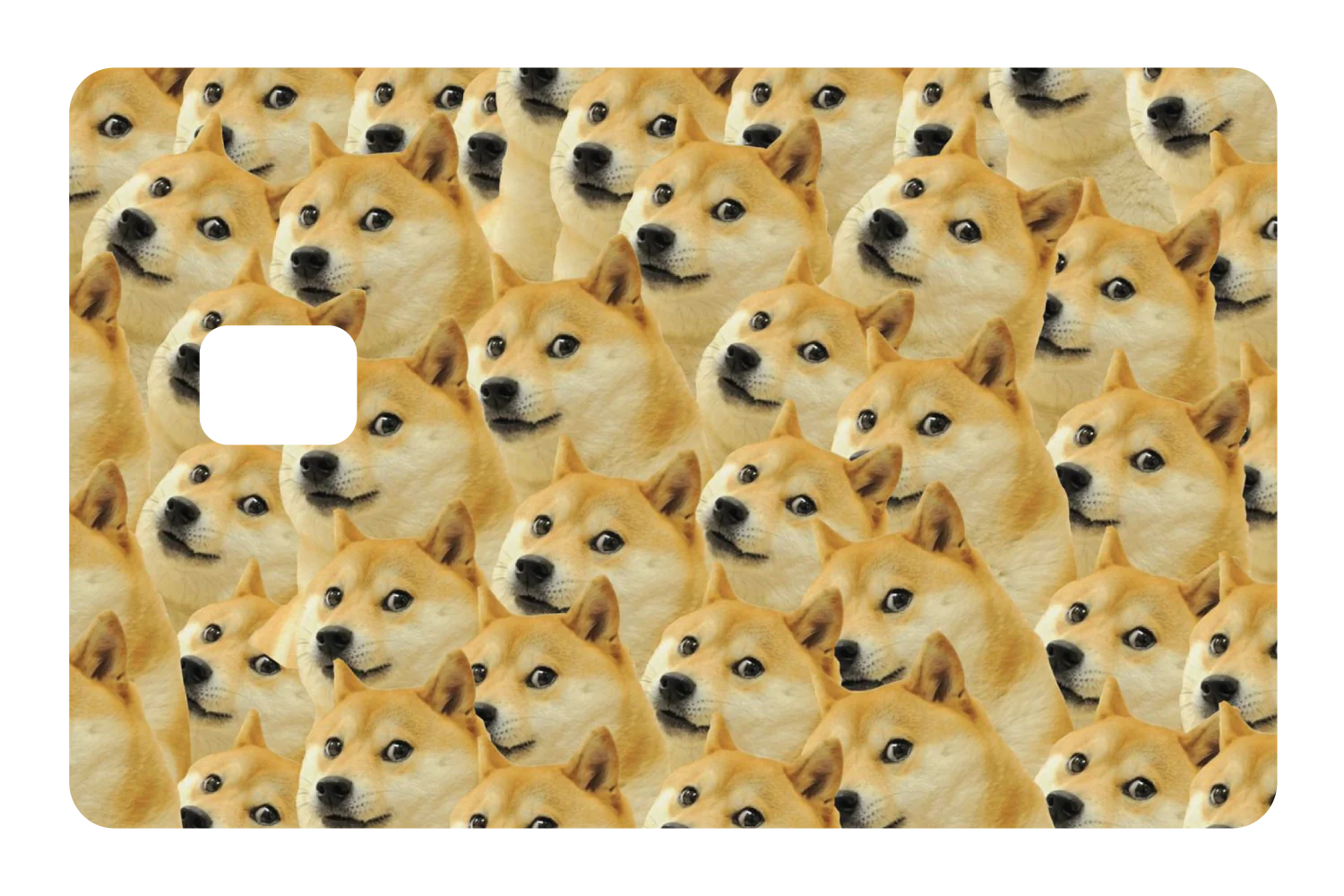 Doge - Image 3