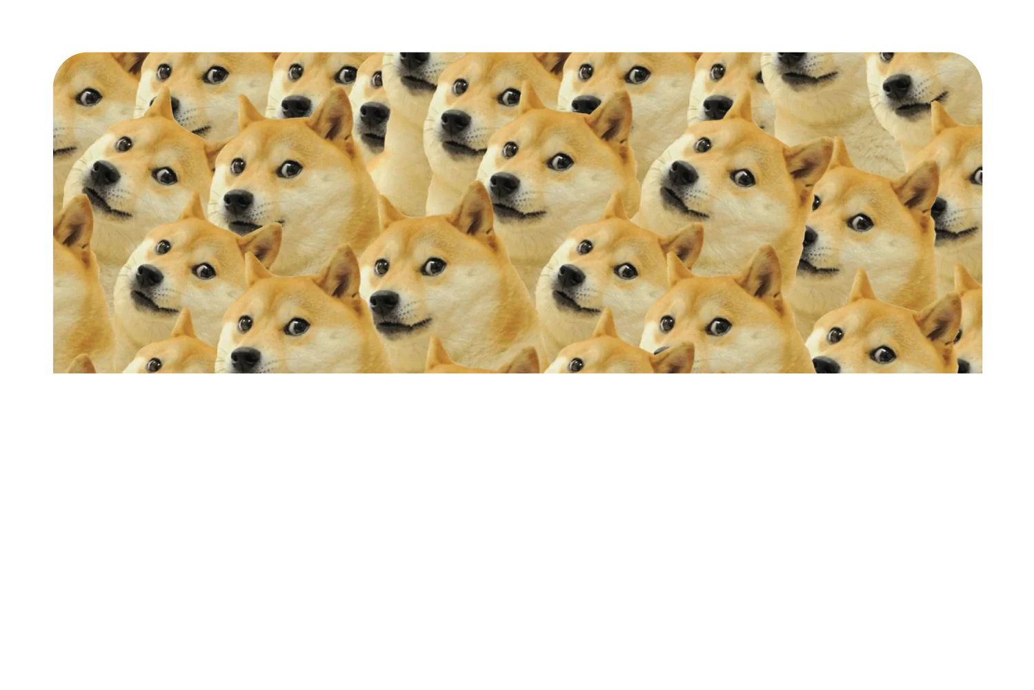Doge - Image 9