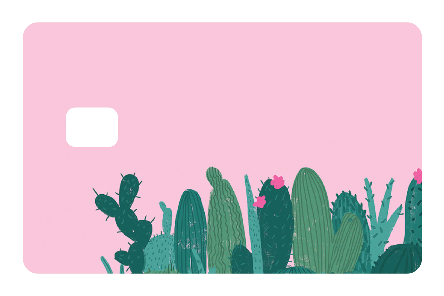 Pink Cactus - Image 3