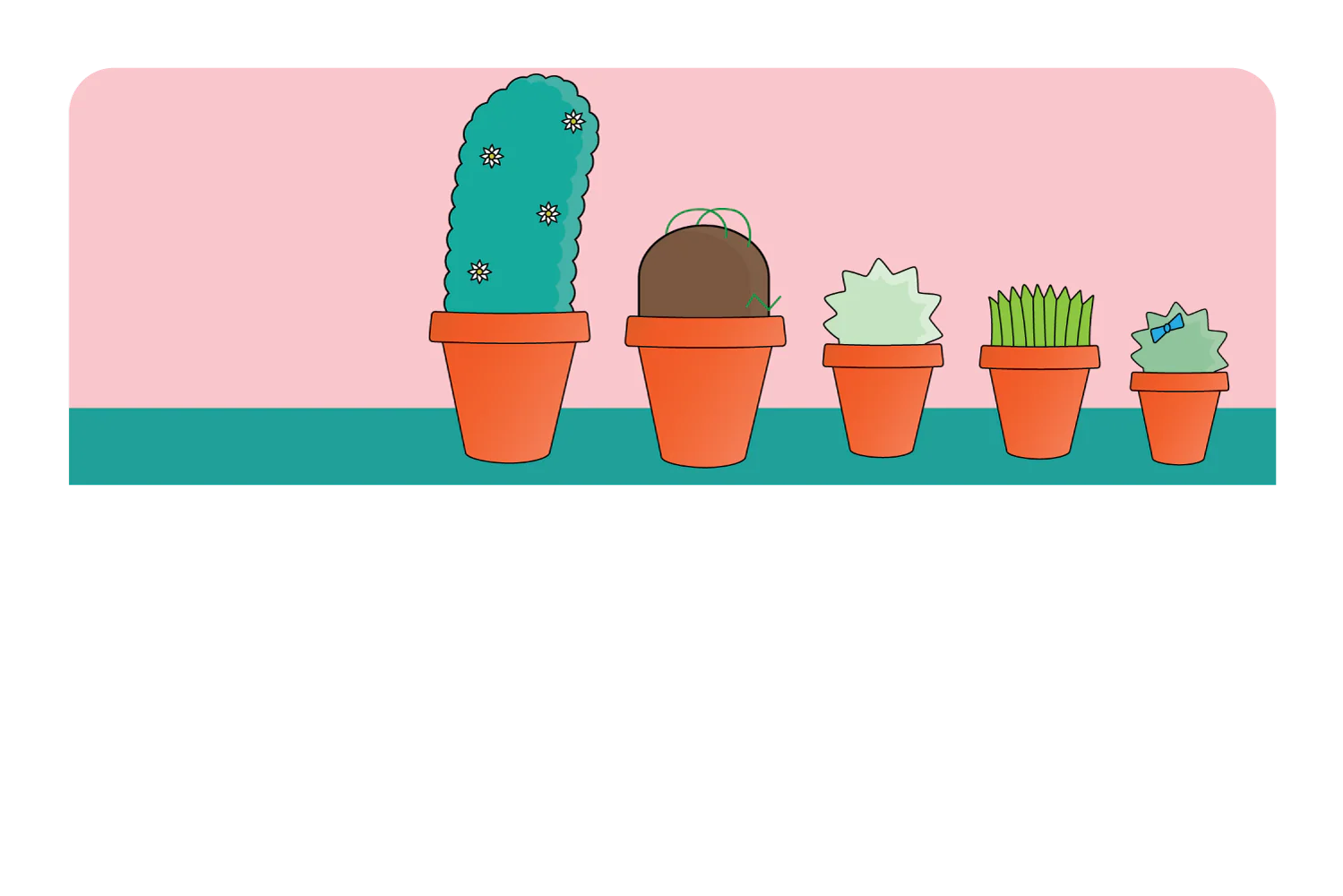Pots & Plants - Image 9