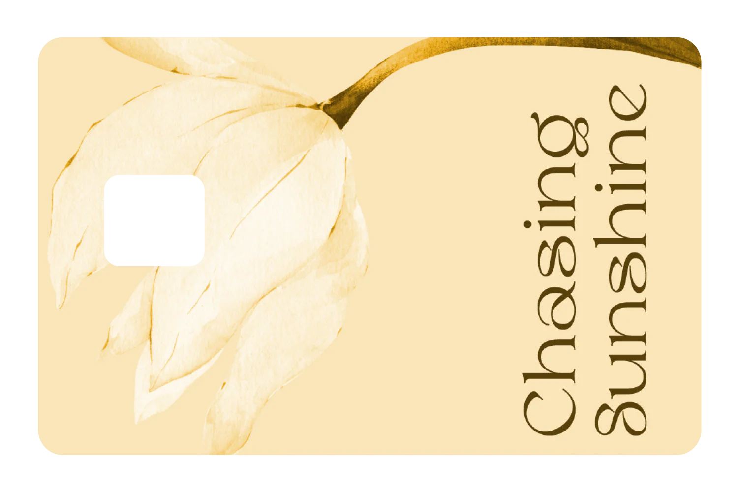 Chasing Sunshine - Image 3