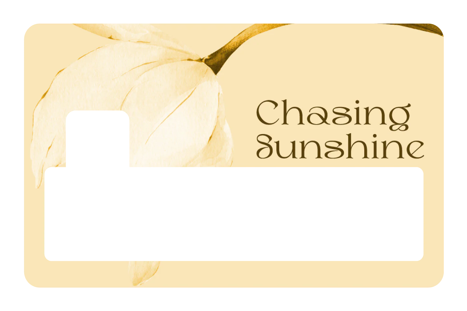 Chasing Sunshine - Image 4
