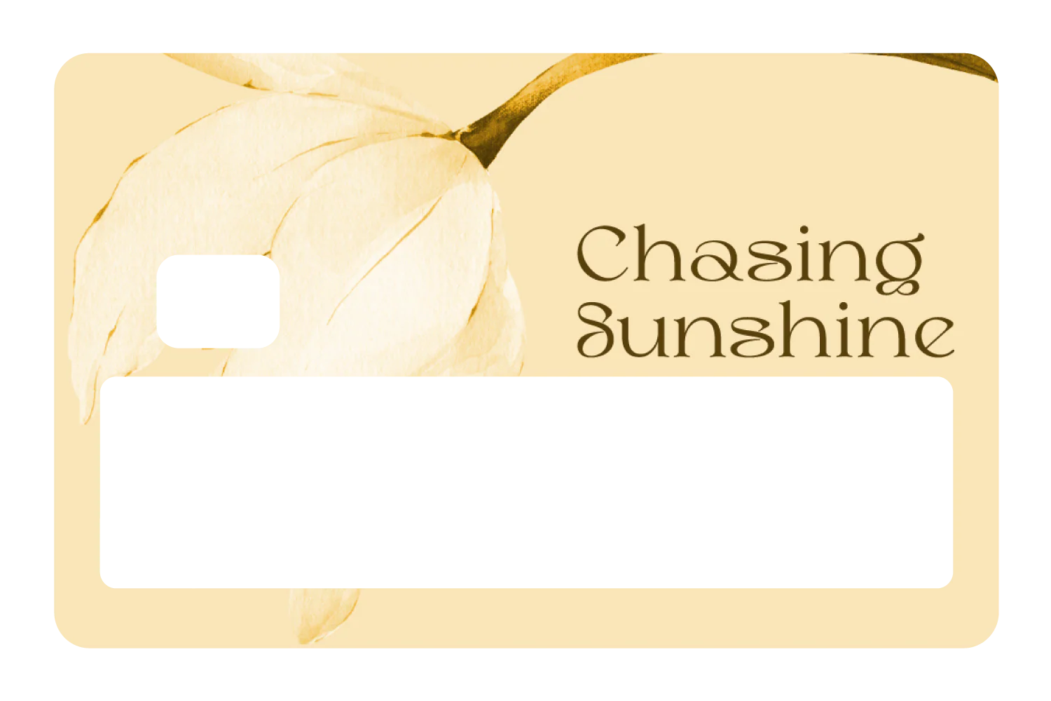 Chasing Sunshine - Image 5