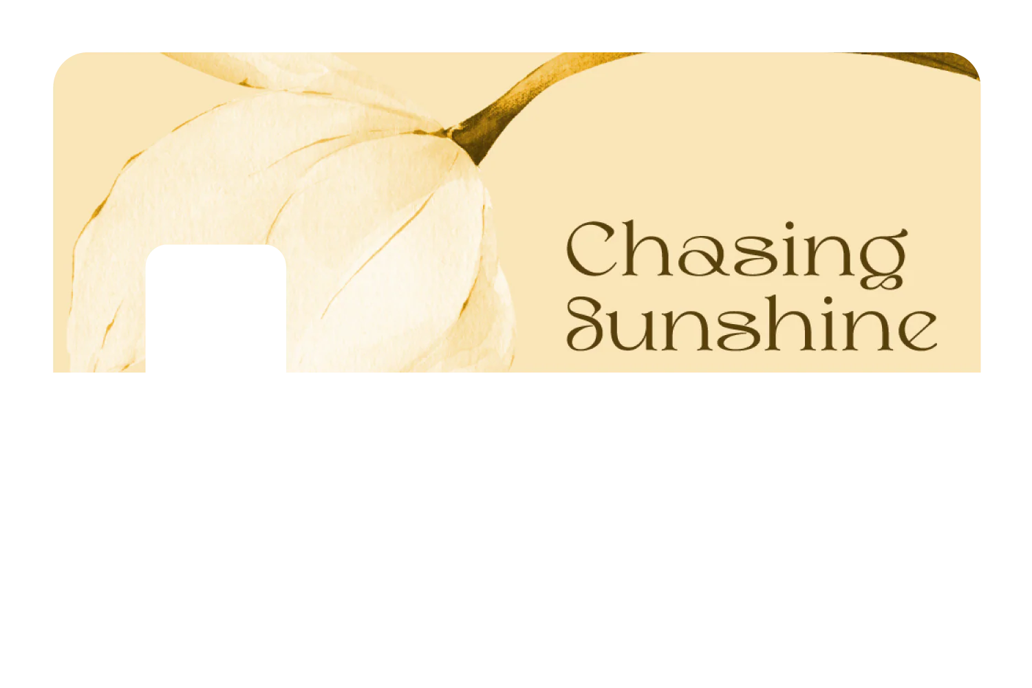 Chasing Sunshine - Image 7