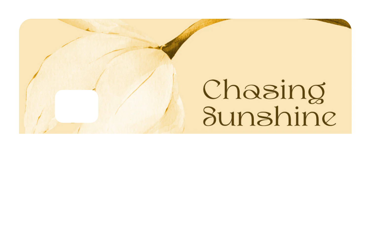 Chasing Sunshine - Image 8