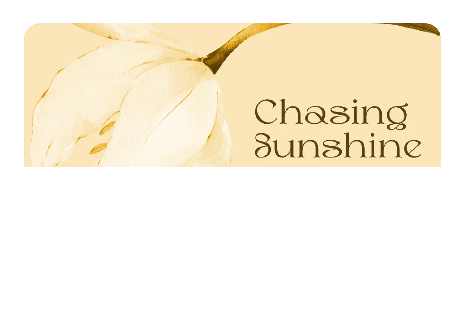 Chasing Sunshine - Image 9