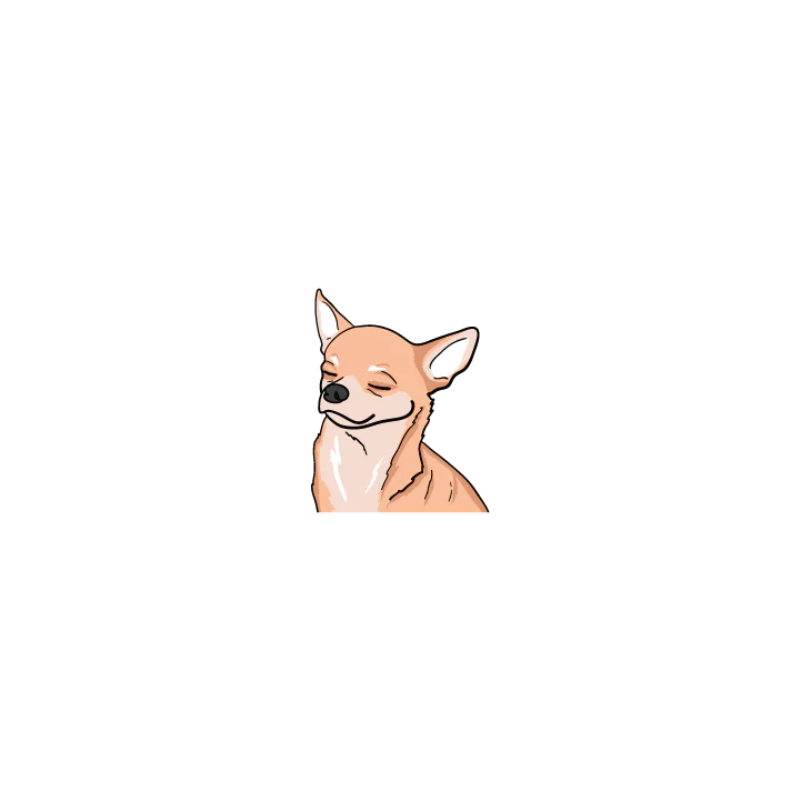 Chihuahua - Image 2