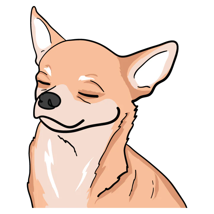 Chihuahua - Image 3