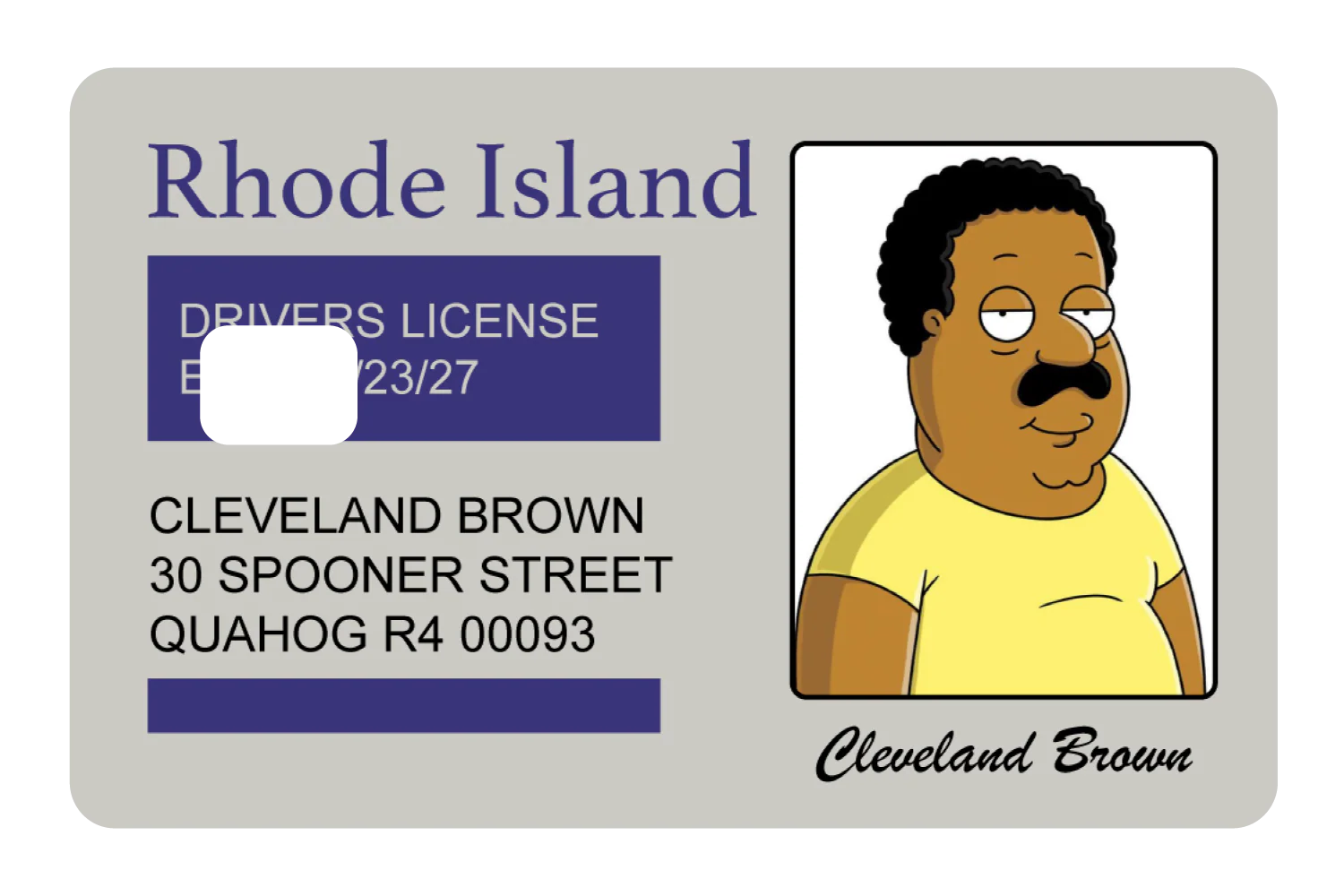 Cleveland Brown License - Image 2