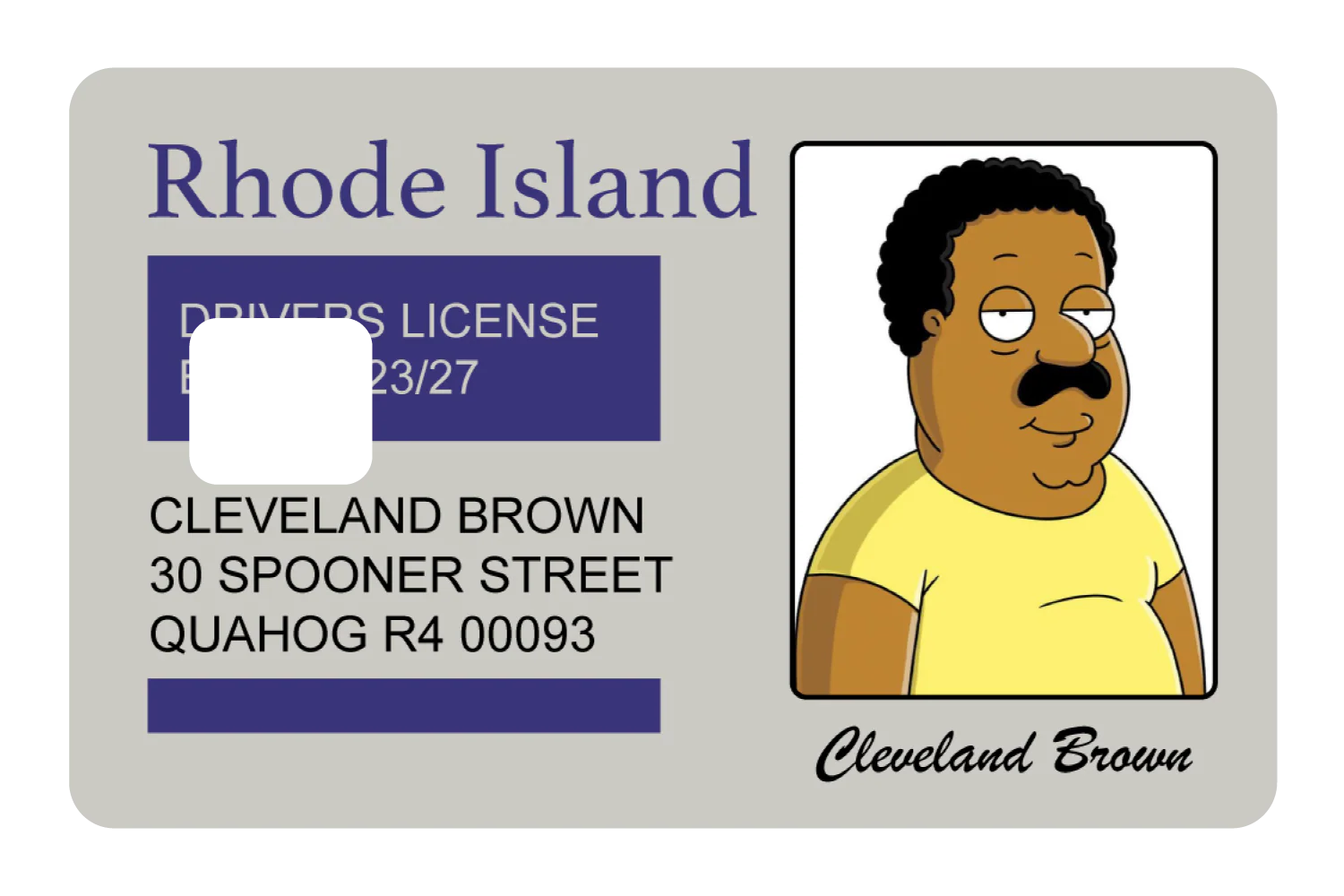 Cleveland Brown License - Image 3