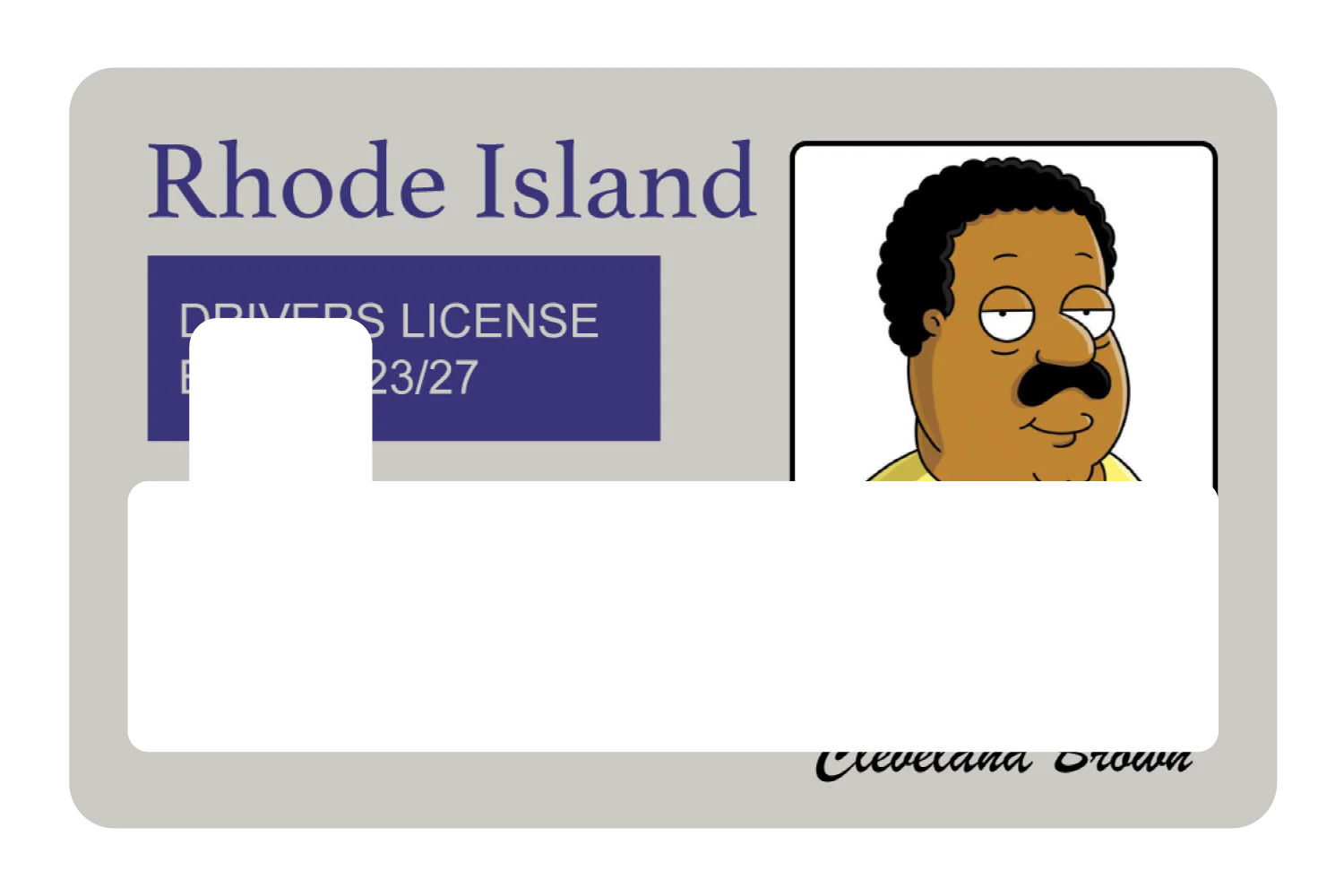 Cleveland Brown License - Image 4