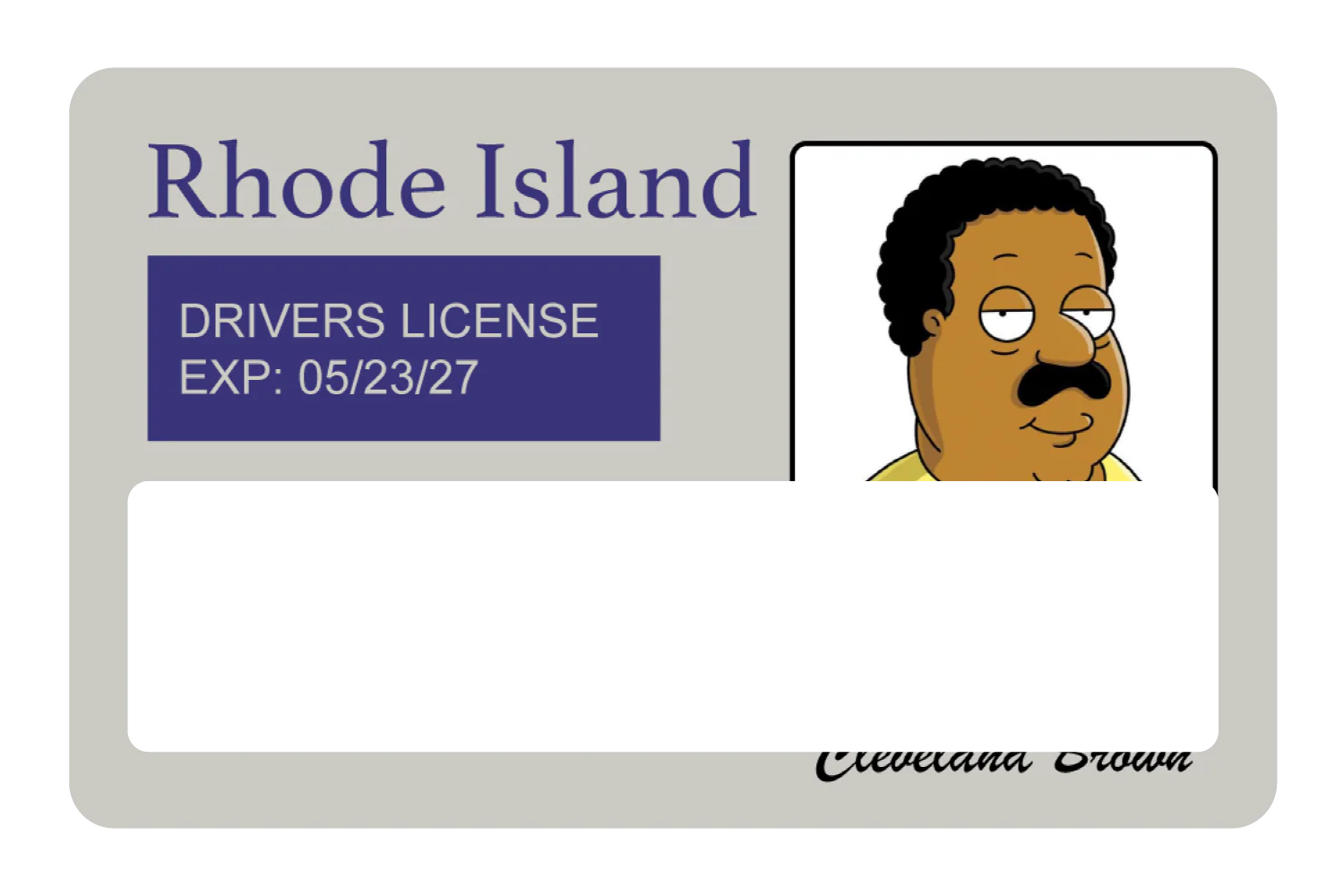 Cleveland Brown License - Image 6