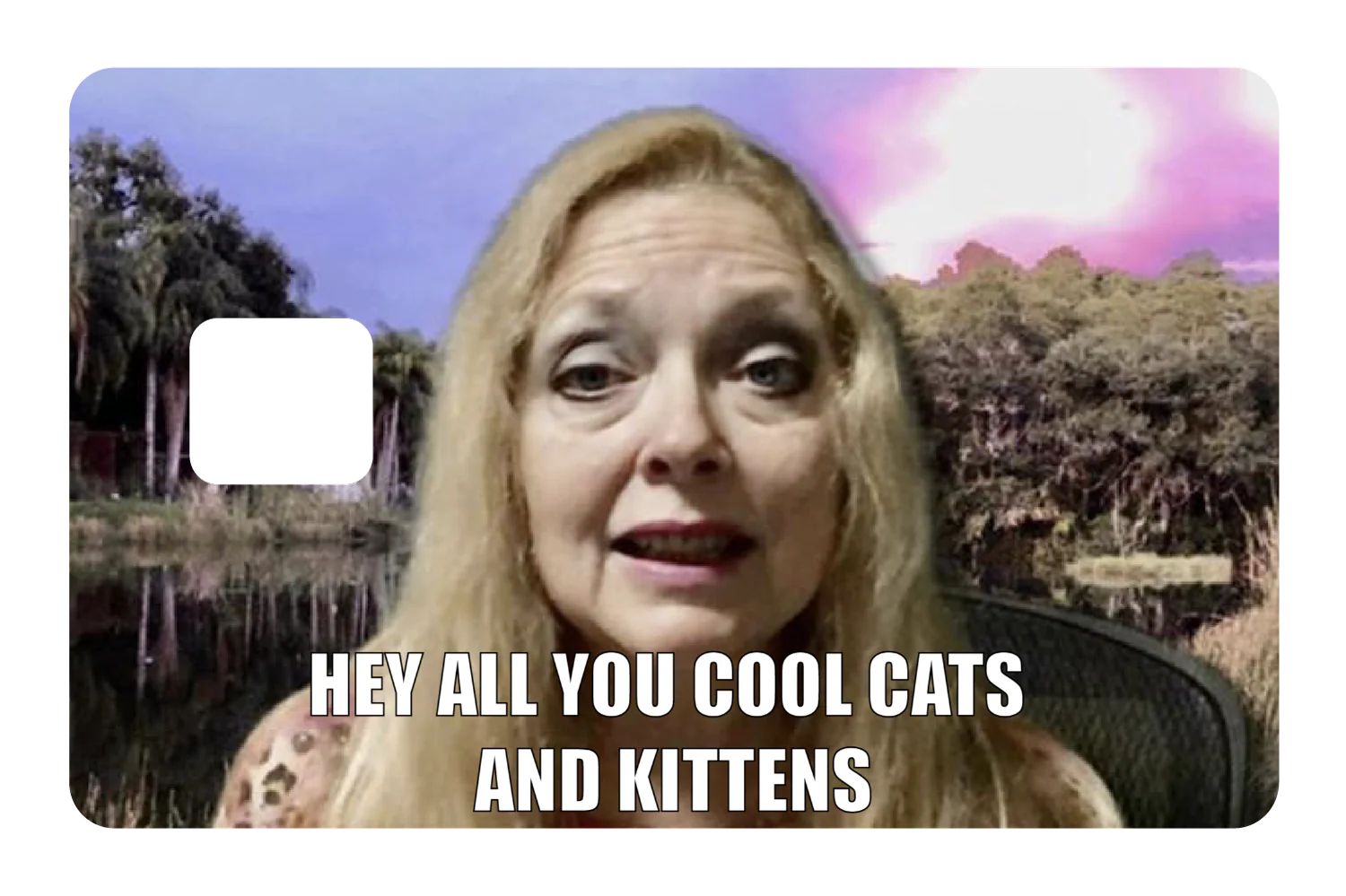 Cool Cats and Kittens - Image 2