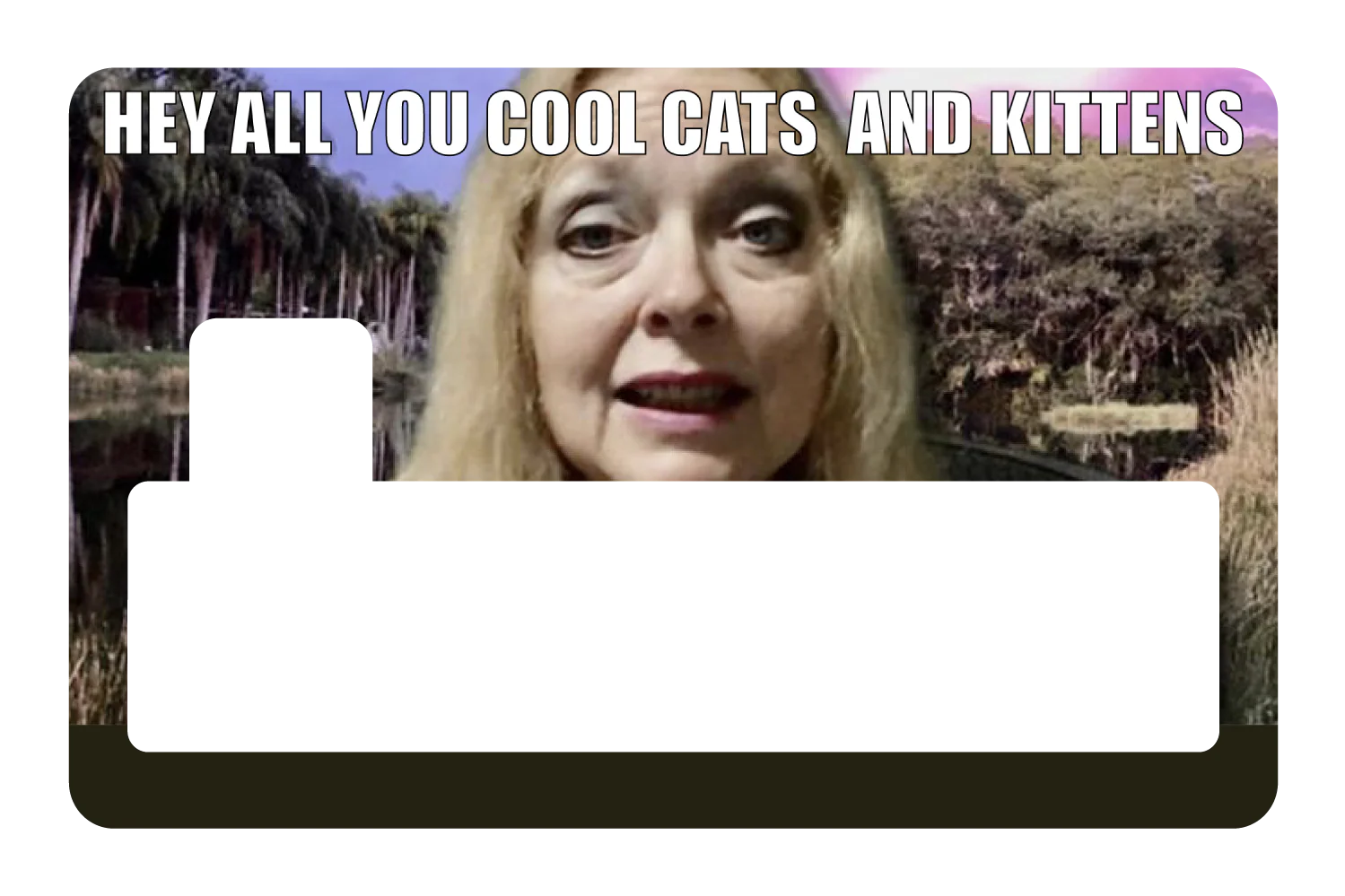 Cool Cats and Kittens - Image 4