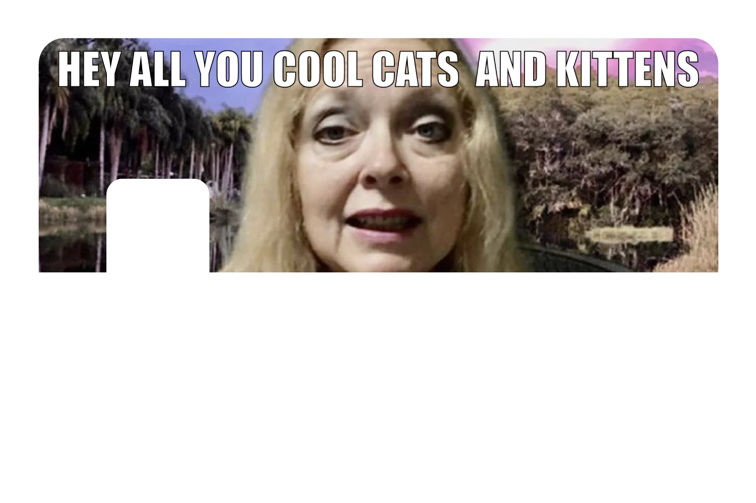 Cool Cats and Kittens - Image 7