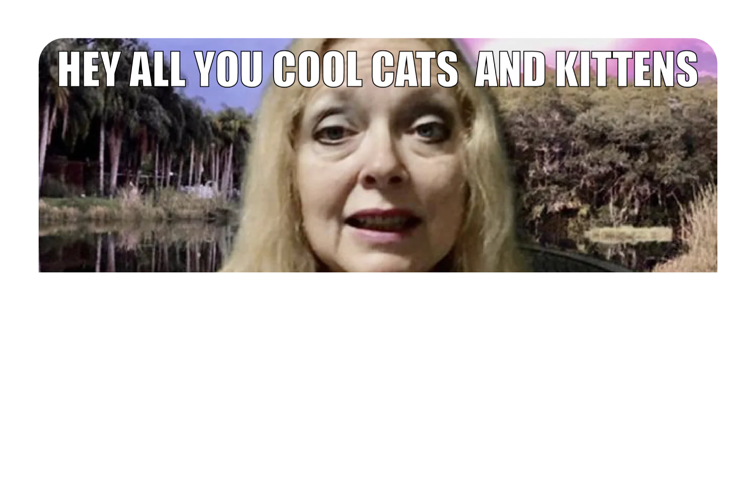 Cool Cats and Kittens - Image 9