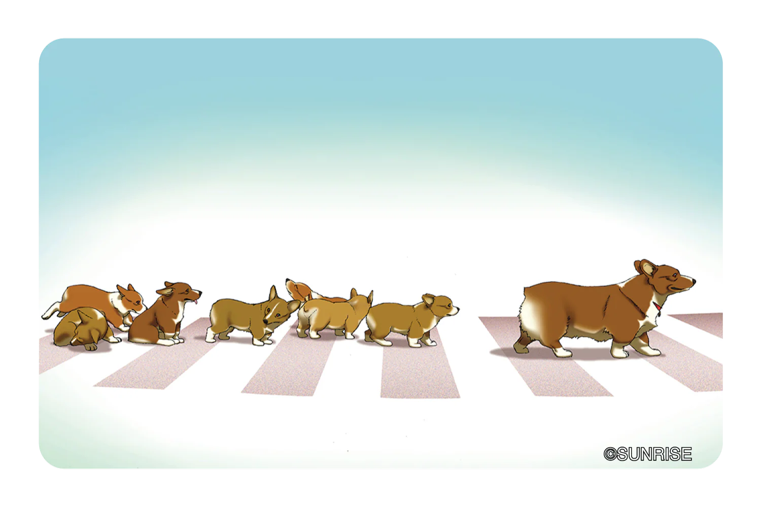 Corgi Squad