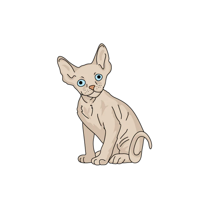 Devon Rex