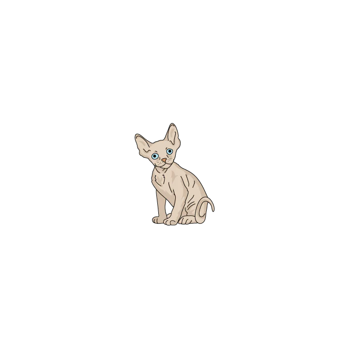 Devon Rex - Image 2