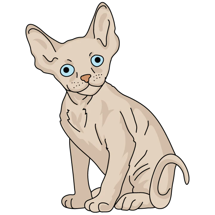 Devon Rex - Image 3