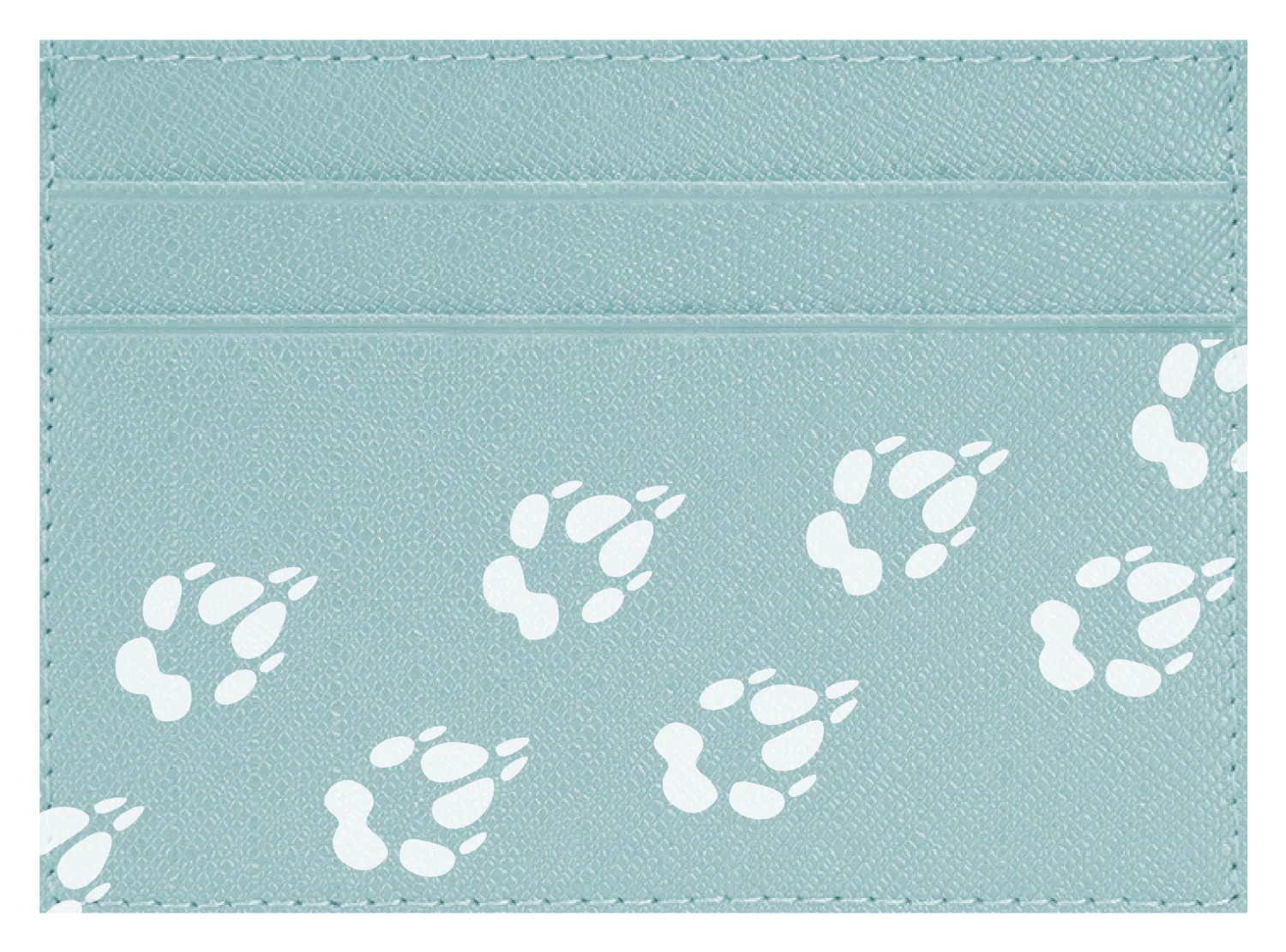 Dog Paws