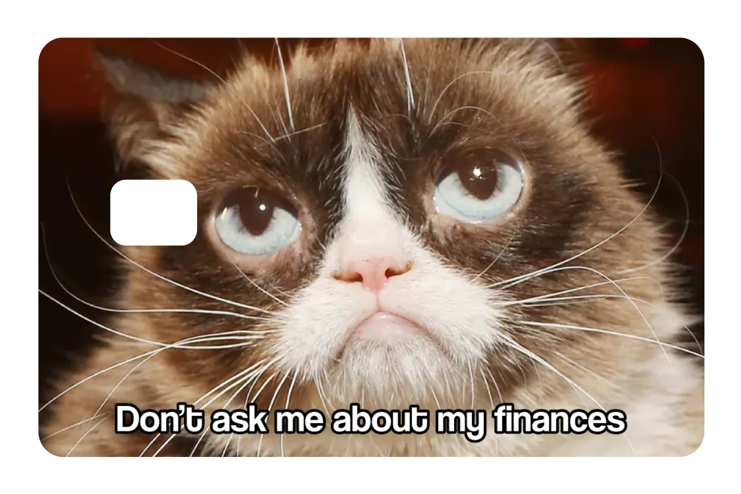 Don't Ask Me - Image 2