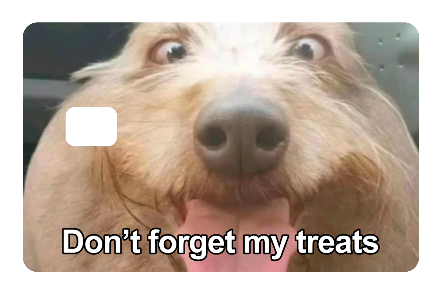 Don't Forget My Treats - Image 2