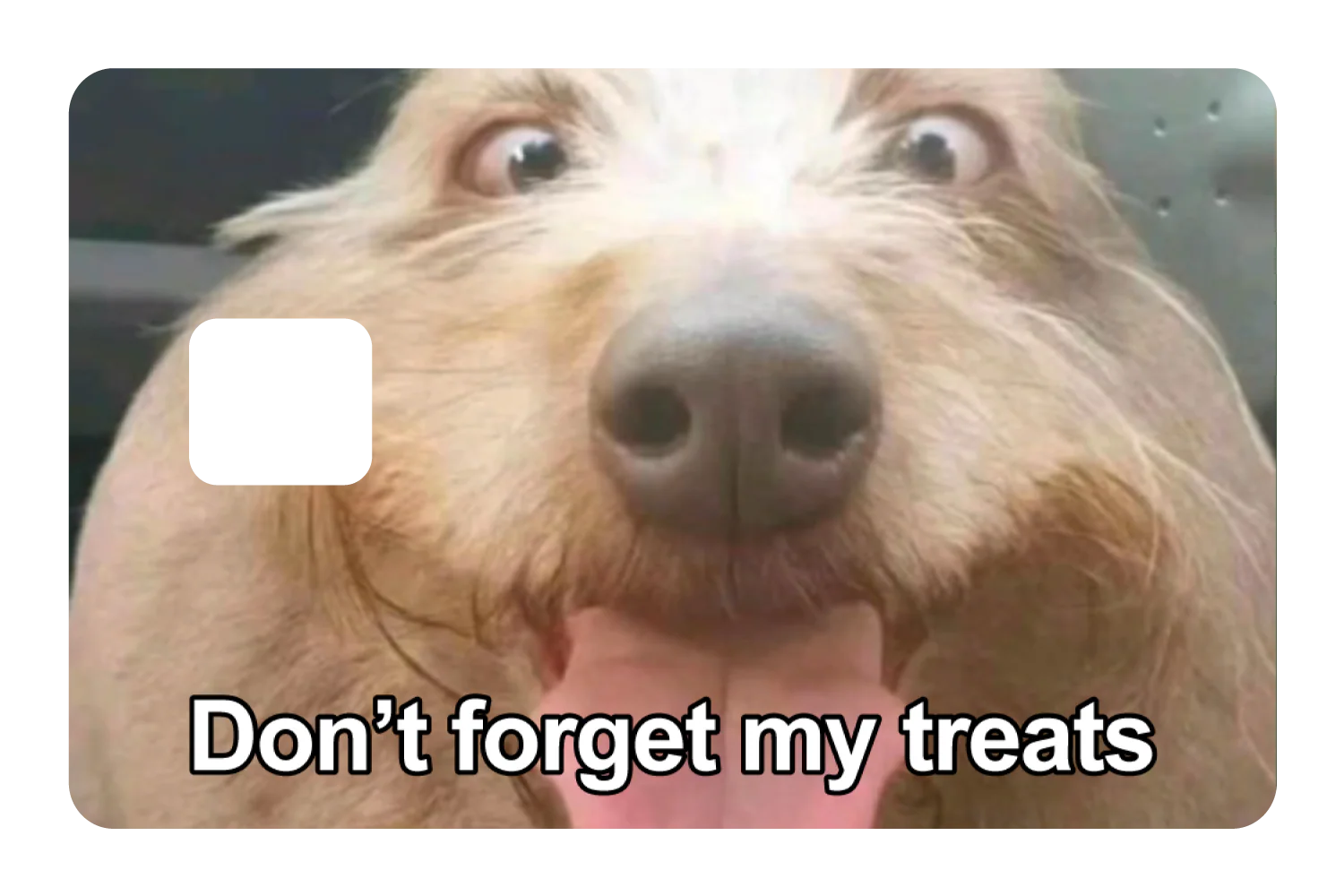 Don't Forget My Treats - Image 3