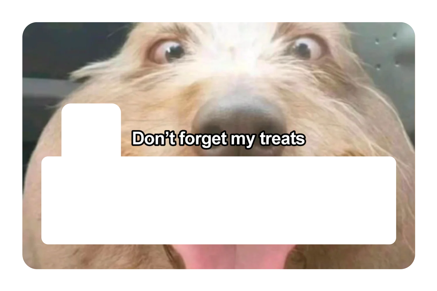 Don't Forget My Treats - Image 4