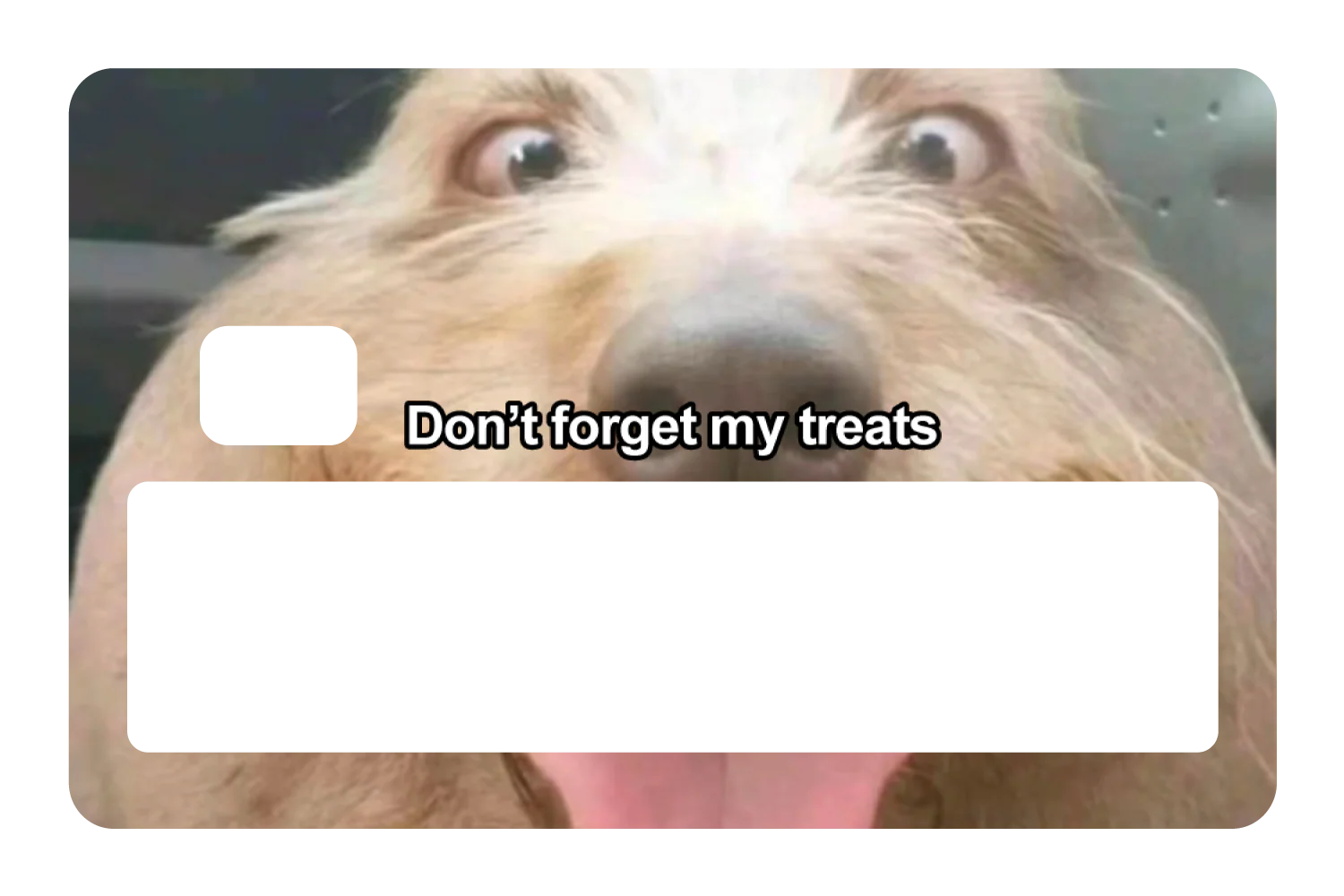 Don't Forget My Treats - Image 5
